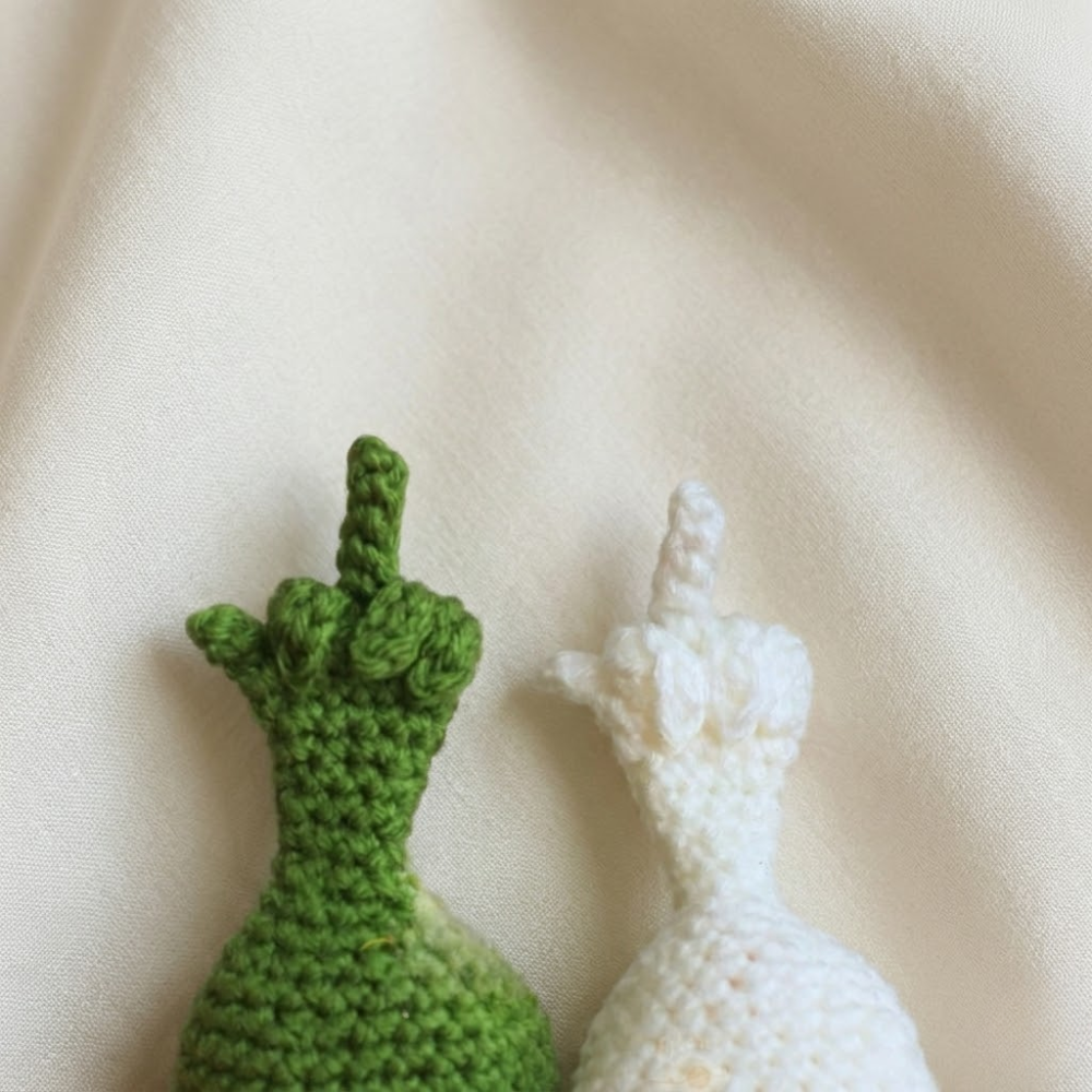 2 in 1 Flip Bird Amigurumi Crochet Pattern