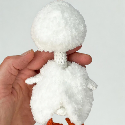 Star Duck Christmas  Crochet Pattern