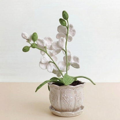 Blooming Orchid Pot Crochet Pattern