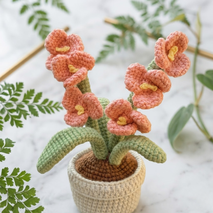 Smiling Orchid Plushie Crochet Pattern