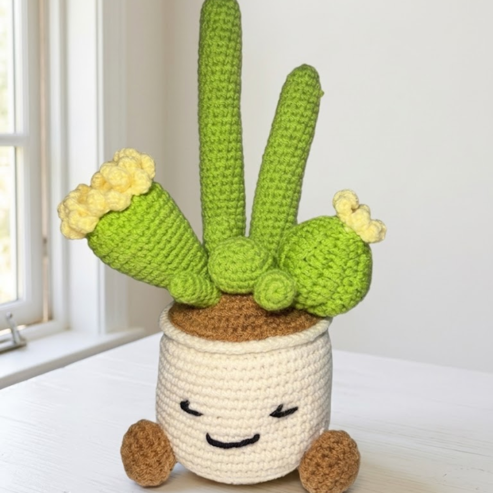 Smiling Cactus Plant Crochet Pattern