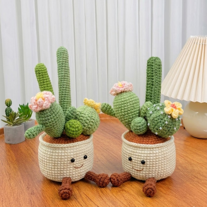 Smiling Cactus Plant Crochet Pattern