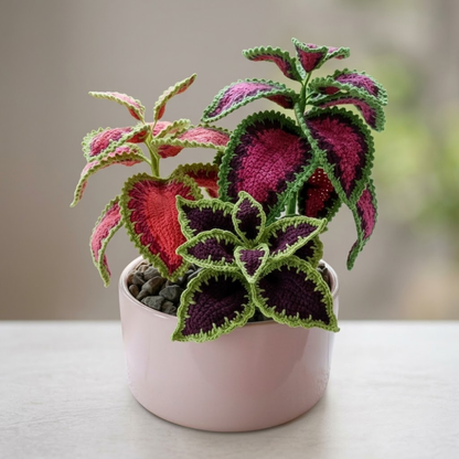 2 in 1 Coleus & Arrowhead Plant Crochet Pattern